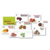 81 Flavour Cards